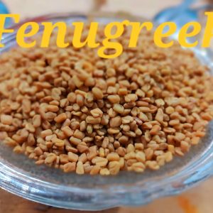 Fenugreek